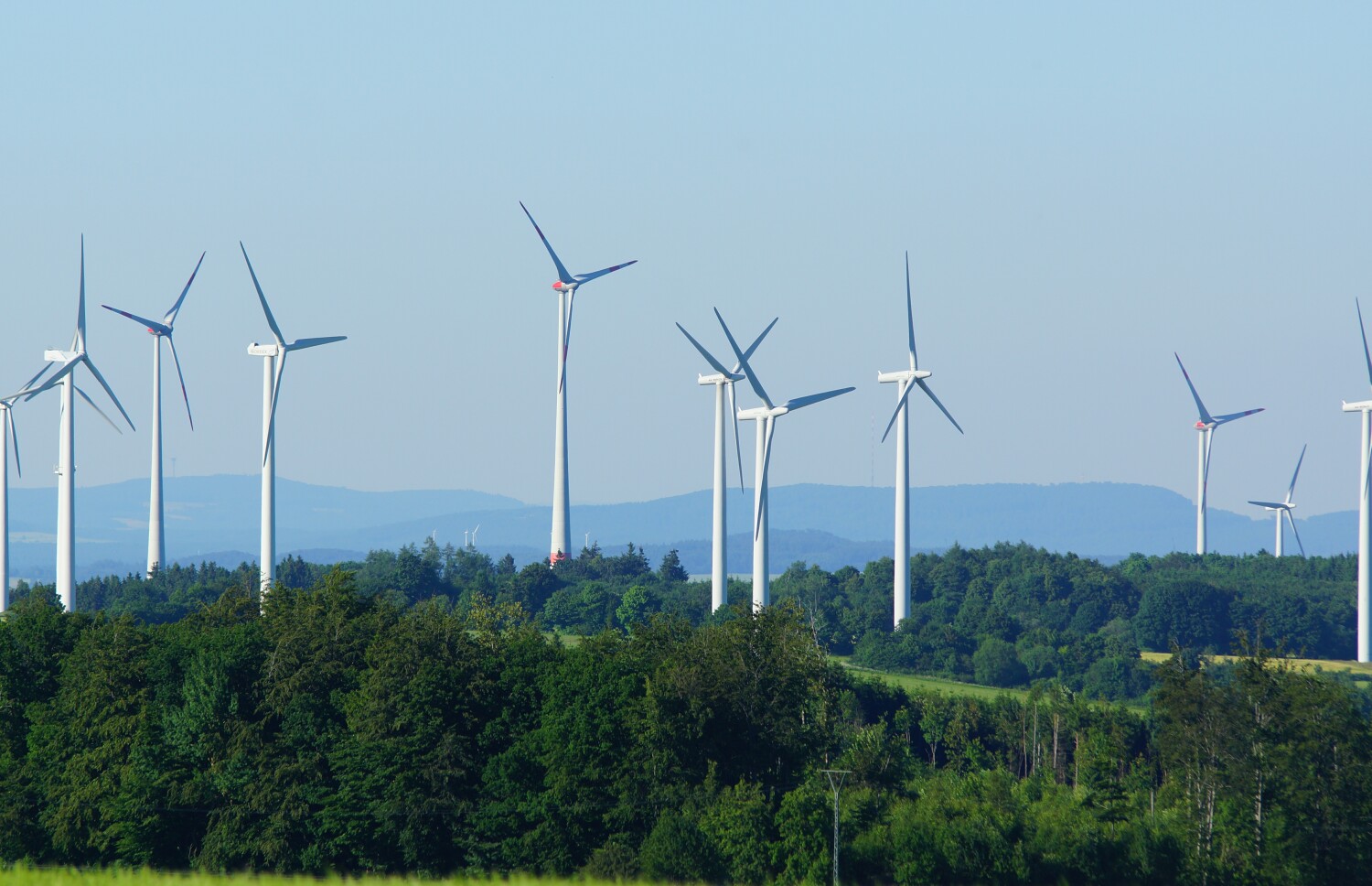 04 engelrod 02 DSC 8300.jpg